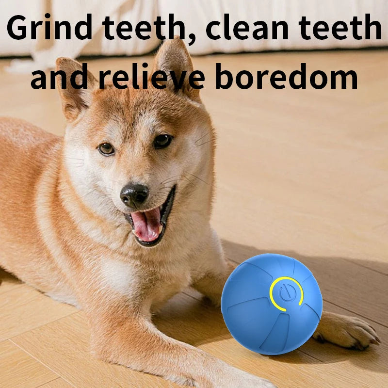 Pelota de juguete inteligente para perros, interactiva automática, con rodamiento electrónico, recargable por USB, que rebota en movimiento para cachorros a perros grandes, juguete para masticar