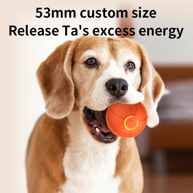 Pelota de juguete inteligente para perros, interactiva automática, con rodamiento electrónico, recargable por USB, que rebota en movimiento para cachorros a perros grandes, juguete para masticar